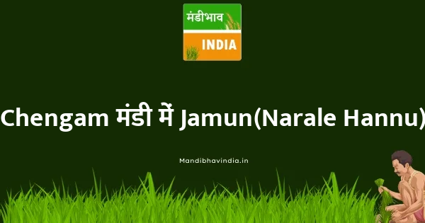 Jamun(Narale Hannu) भाव